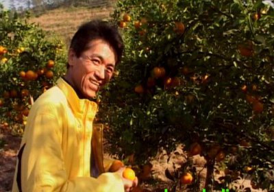 ​《外来媳妇本地郎》中康家二代成员学历最低的四位，都是初中毕业