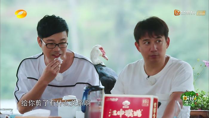 黄渤带兄弟团轰炸蘑菇屋，爆笑整蛊黄小厨，黄磊：打“死”你！