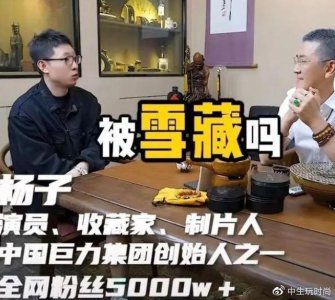 ​杨子再度波及周星驰？黄圣依被封杀事件再次引发关注