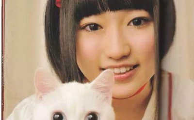 ​从“圆神”到“猿神”——悠木碧
