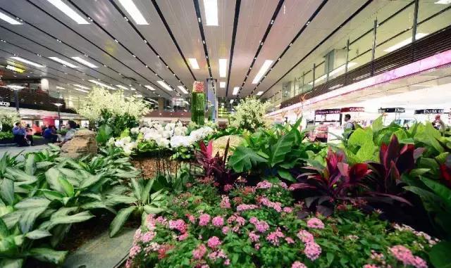 这5个机场免税店, 这辈子你至少应该去一次!