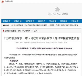 ​长沙原常务副市长陈泽珲退休三年后被查，其子同日落马