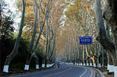​南京颐和路，带你梦回民国，乃网红打卡地点