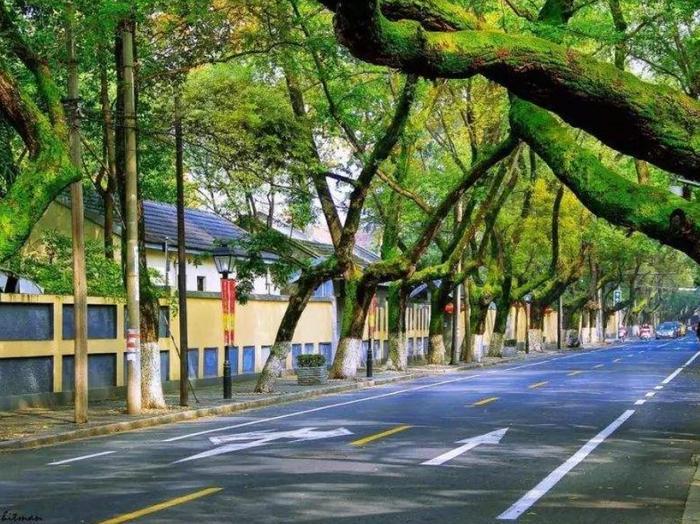 南京颐和路，带你梦回民国，乃网红打卡地点