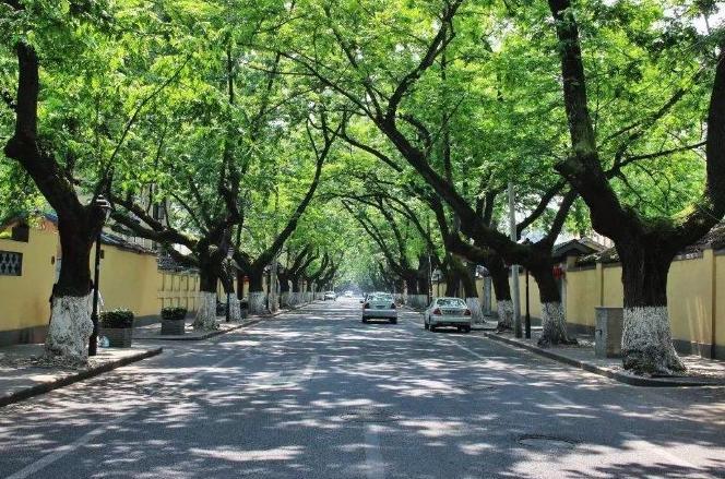 南京颐和路，带你梦回民国，乃网红打卡地点