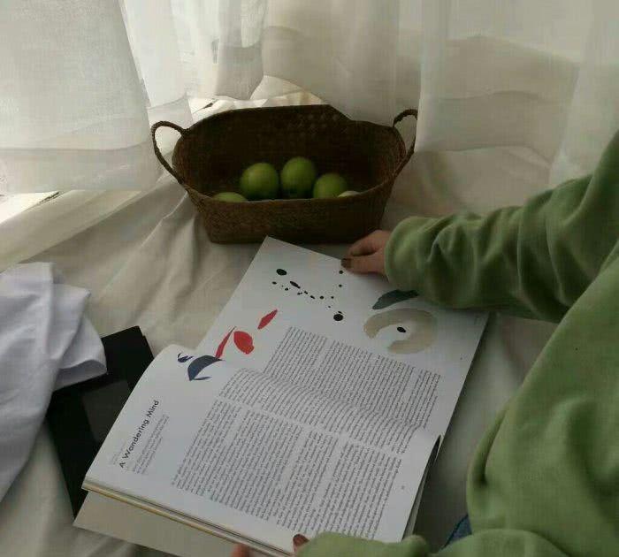 氧气背景图·清新绿色壁纸“你喜欢森林，我没绿过你”