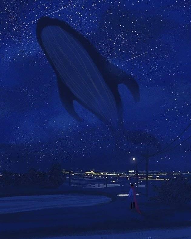 【鲸鱼插画壁纸】唯美动漫壁纸