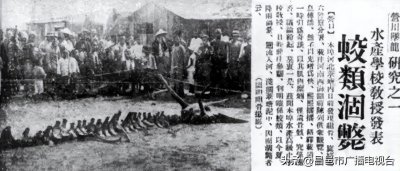 ​1934年“营口坠龙”事件：到底是真是假？老人上交龙骨揭开实情