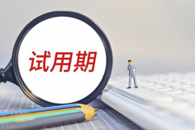 ​个人试用期转正工作总结300字