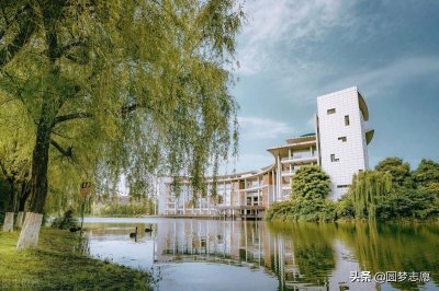 ​四川省内的22所一本大学排名（含2021年调档分数线）