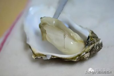 ​全世界最不可错过的美食100种