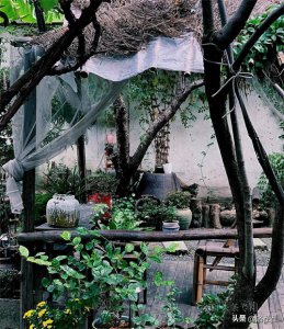 ​退网两年，才有人发现，“李子柒”的庭院，原来这么“假”