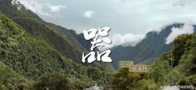 ​《舌尖上的中国3》来袭！虽然换了导演，但是配音还是原来的味道