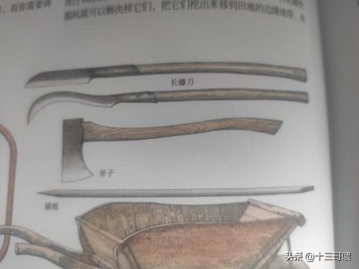 ​朴刀到底长啥样？看了一本农林的书我才弄明白，原来这么土气呀