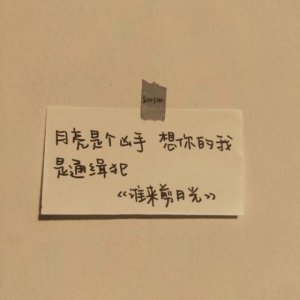 ​文案 岁岁常欢愉，万事皆胜意
