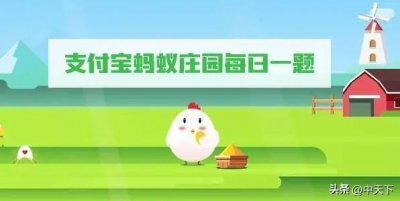 ​大熊猫的尾巴是什么颜色的？蚂蚁庄园知识问答