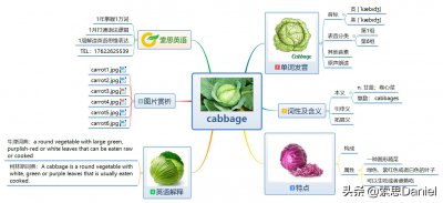 ​索思英语解码单词（第87个）-cabbage卷心菜