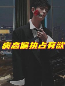 强推！！6本男主病态偏执占有欲强的小说
