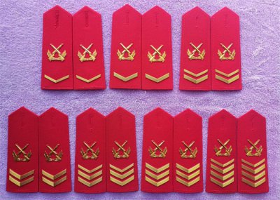 ​毛启国：武警07式27种常服肩章大全
