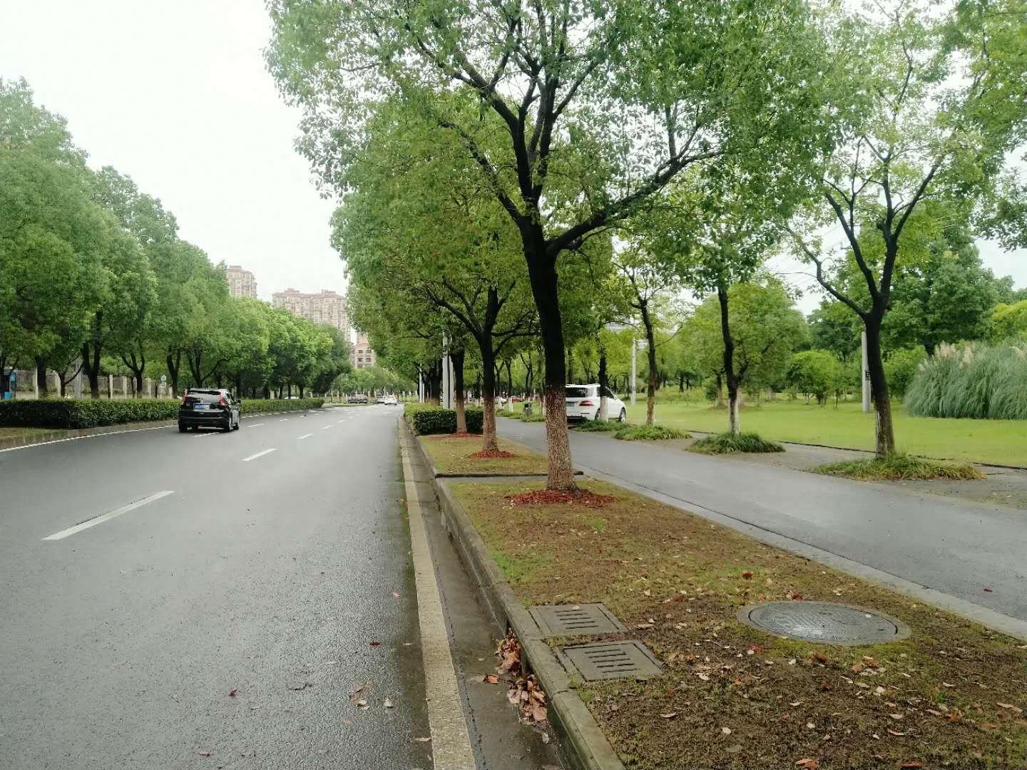 昆山花桥，一座被房产中介“包围”的环沪小镇