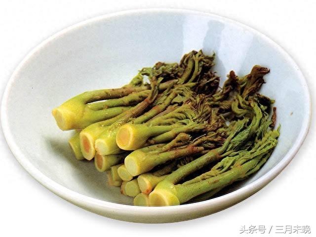 刺头菜：被誉为天下第一珍，其实是灌木嫩叶多数人没吃过！