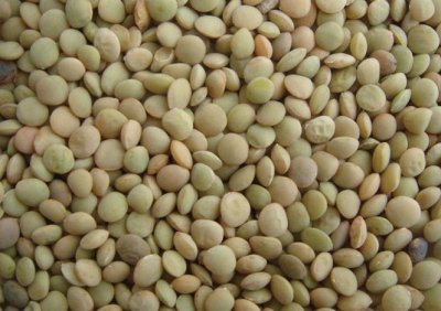 ​小扁豆是一种怎样的农作物？