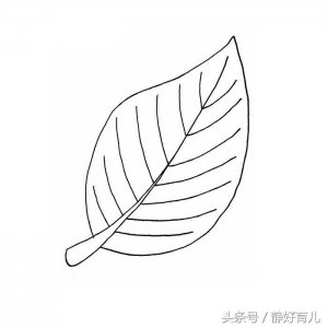 ​10款树叶主题简笔画，家长请收好！边学画画边动脑，提升宝宝能力