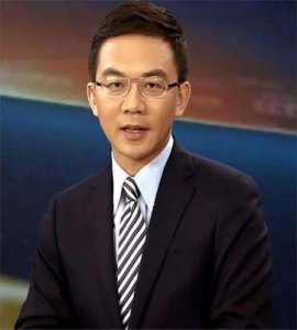 ​央视名嘴沦落“阶下囚”，为救妻子辞职倾家荡产，如今53岁的郎永淳走向何方？