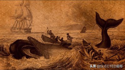 ​恶名昭著的日本捕鲸业 理由竟然此荒唐