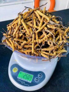 ​999精产国品一二三产区区别：爆料：999产区的独家秘密揭晓！