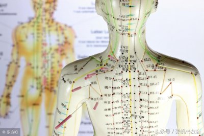 ​经 络学说 概 论