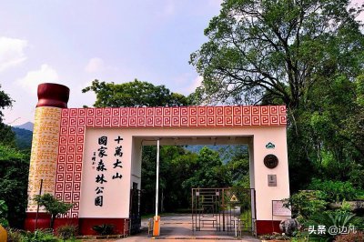 ​广西十万大山国家森林公园