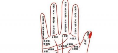 ​掌纹的秘密全图解的含义介绍