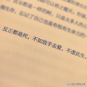 ​第10篇：放手去爱，不要逃