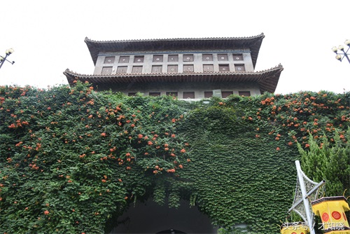 一座平原上堆建出来的全国景点大汇集—河南新乡县小冀镇京华园！
