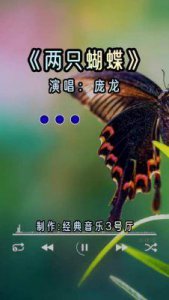 ​2004年，庞龙盖着被子唱的《两只蝴蝶》，编曲者：这首歌必红，我砸墙庆祝！