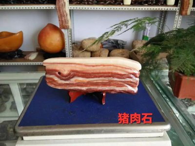 ​石头盆景艺术，植物石头融合视觉璀璨盛宴，山水盆景，盆景之石头