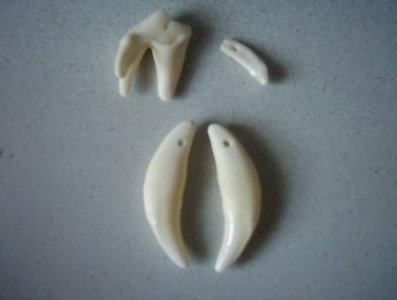 ​狗牙真的能辟邪吗？