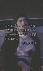 ​揭秘《蚀骨危情》结局走向，简童与沈修瑾揭示的神秘秘密