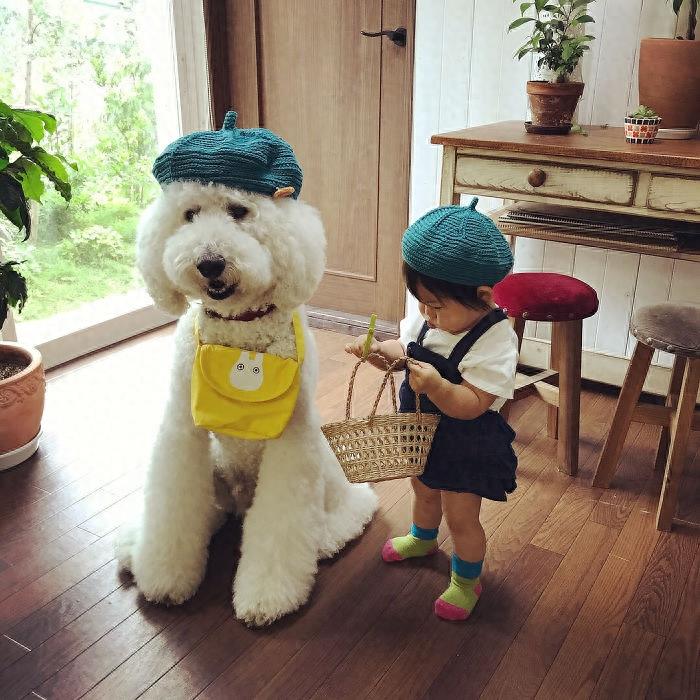 一个日本小女孩和狮子狗的故事，看完后每个父母都心动了，争相要给自家宝宝养一只，但是这样真的好吗？