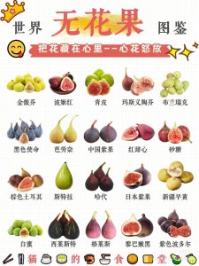 ​20种无花果，你选对了吗？时令-产地-特色