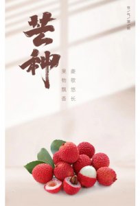 ​夏日风味-芒种时节的南山荔枝