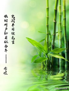 ​想念是会呼吸的痛
