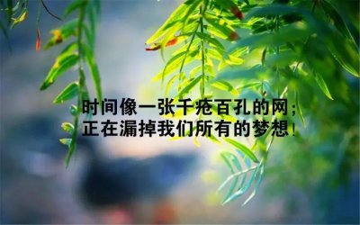 ​谁不是在流浪
