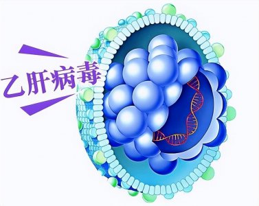 ​乙肝两对半常见12种情况一图看懂