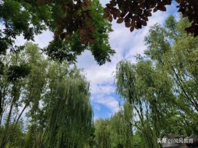 ​【独家：北京八中的事儿没那么复杂！】