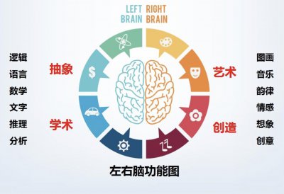 ​“右脑发达”的孩子，往往会有这3个特征，是学霸的好苗子