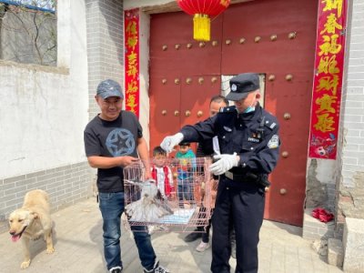 ​华阴公安：警民联手救助受伤“黑翅鸢”