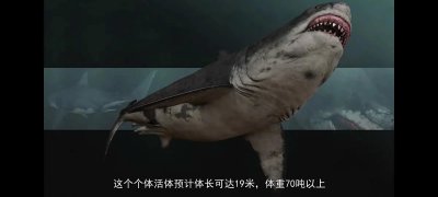 ​论沧龙VS巨齿鲨