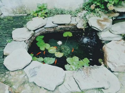 ​西北望长安，可怜无数山